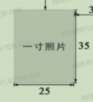 wps11.jpg